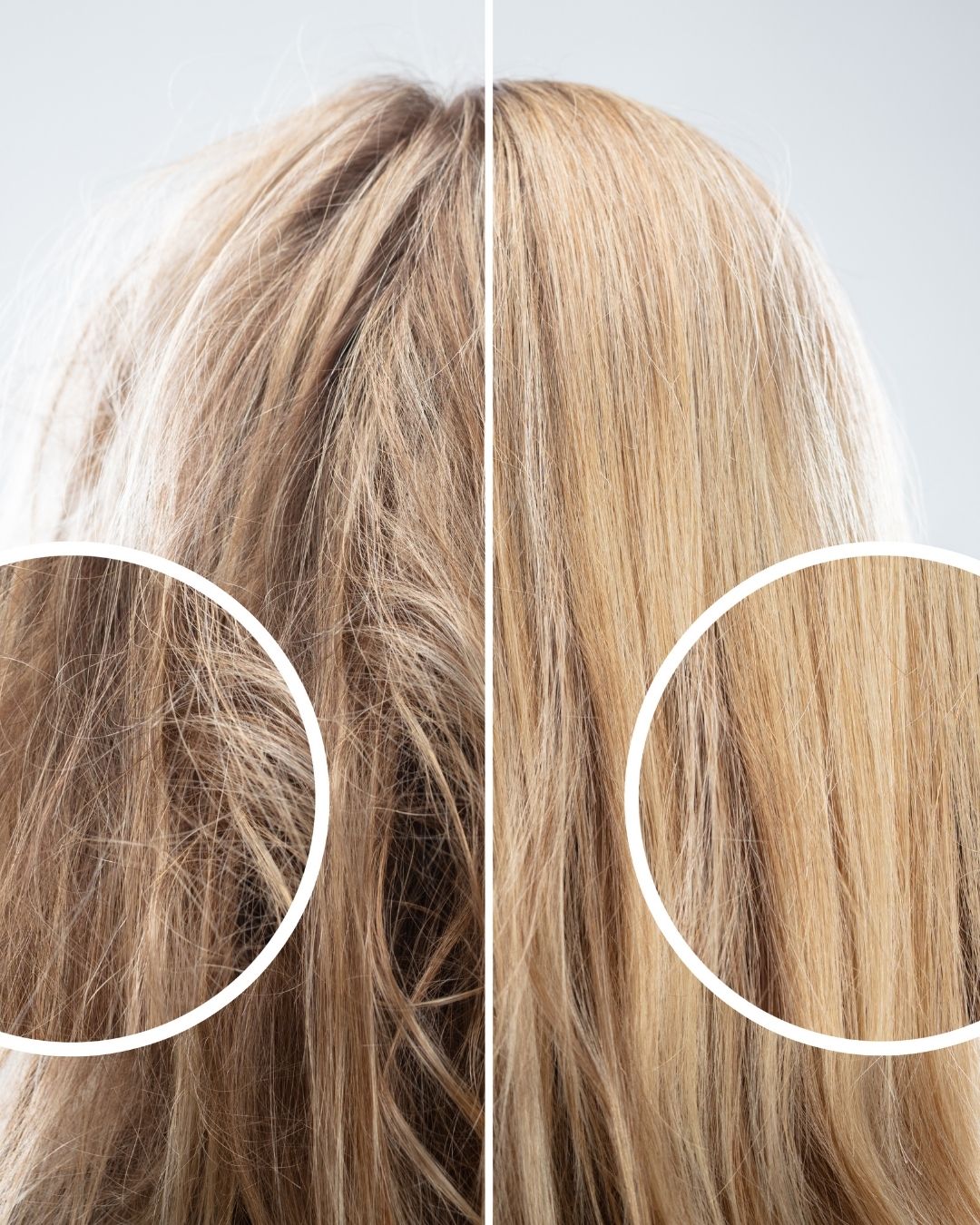 Women Haircut